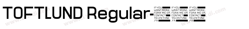 TOFTLUND Regular字体转换